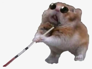 Image Image Image - Amiga Date Cuenta