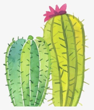 Image Image Image - Don T Be A Prick Cactus