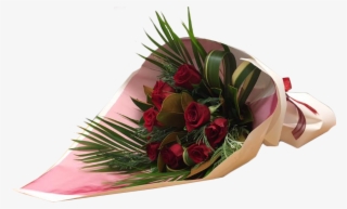 Giant Protea