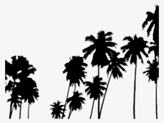 Palm Tree Clipart Palmera - Iphone 7 Palm Tree