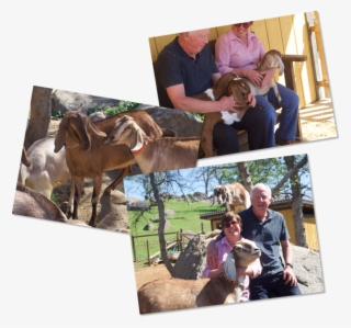 We Take Pride In Our Meticulous Process Of Making The - Working Animal