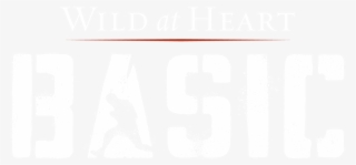 Wild At Heart Boot Camp - Wild At Heart Bible Study