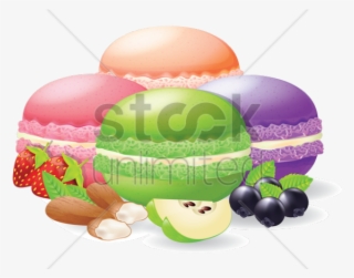 Original - Macaroon