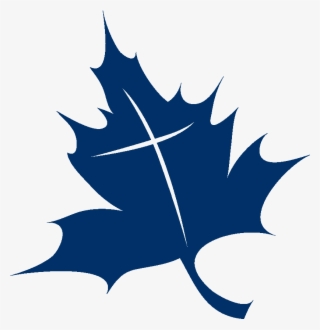 Ticc Leaf Logo - Maple Leaf