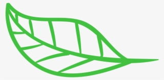 Ronald Powell › Web Leaf Logo