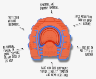 Vector Horserunners Hoof Stuff Pinterest Horse - Diagram