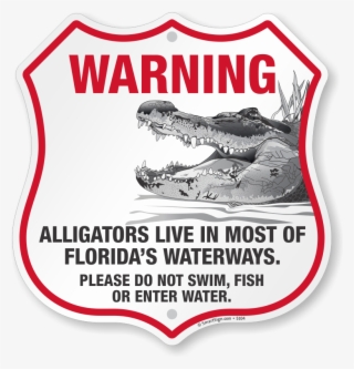 Zoom, Price, Buy - American Alligator