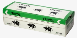 Castilla-la Mancha Begins Pollination With Bumblebees - Trzmiele Do Zapylania