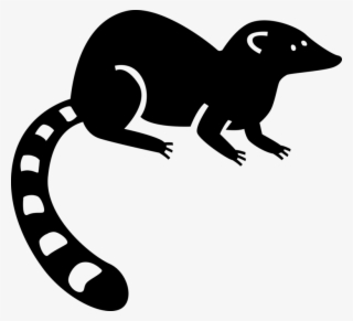 Vector Illustration Of Bushy-tailed Lemur From Island - Marsupial