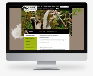 Kompleks Web Design Duke University Lemur Center - Computer Monitor