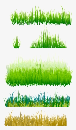 Grama Imagens Png - Grass