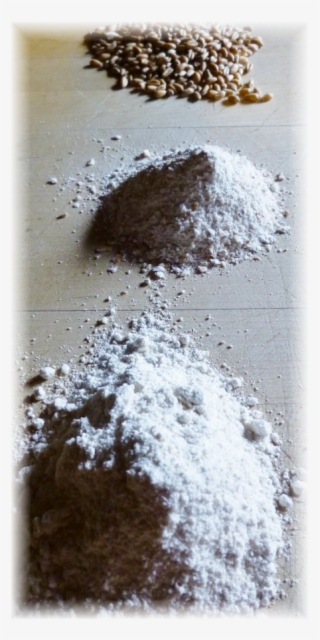 Stone Ground Soft Wheat