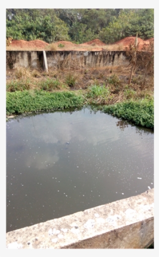 Erosion Control Works At University Of Benin - Reflection
