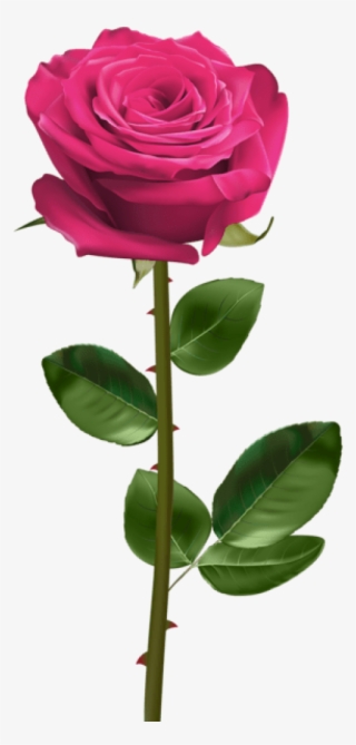 Free Png Download Pink Rose With Stem Png Images Background - Red Rose With Stem