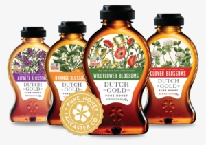 Bottles - Kavka Oranges By Terri Ellis Graphic Art