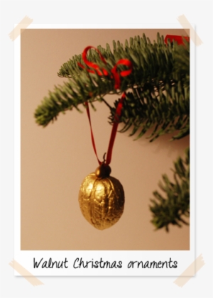 I Thought It Would Be Fun To Hang Some On The Christmas - Gold Walnut Christmas Decorations