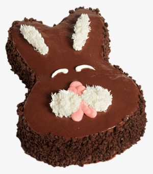 Chocolate Bunny Ice Cream Cake - Chocolate Bunny Birthday Cake
