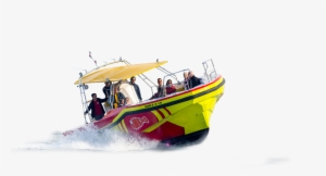 Experiencia Nemo - Costa Brava Glass Bottom Boat