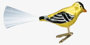 Take A Look At Our Western Goldfinch 18038 Old World - Christmas Ornament