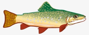 Clip Art Free Vector Graphic Free Library - Trout Clipart