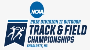 Lewis Finishes 17th At Ncaa Division Ii Track And Field - Ncaa Dii Indoor Track And Field Championships 2018