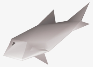 Raw Trout Detail - Raw Trout Osrs