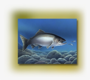 Gamefish Art - Trout