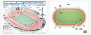 Track And Field Dimensions