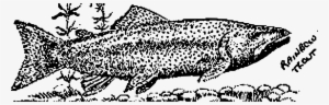 This Free Icons Png Design Of Rainbow Trout