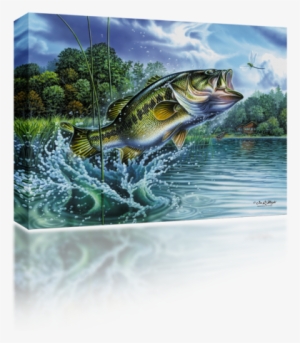 Airborne Bass - Bass Fish Jumping