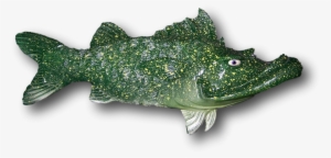 Custom Criffster Fish - American Crocodile