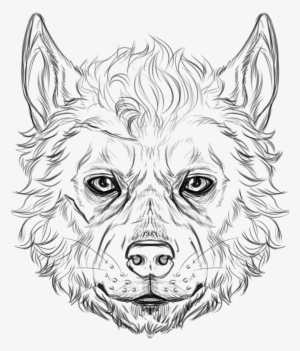 Wolf Faces - Drawing