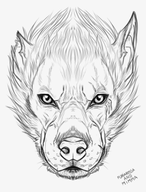 Wolf Faces - Drawing