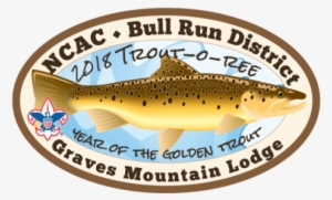 Bull Run District Trout O Ree - National Capital Area Council