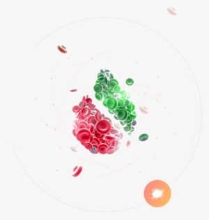 Gene Detection Of Cardiovascular Disease - Web Design