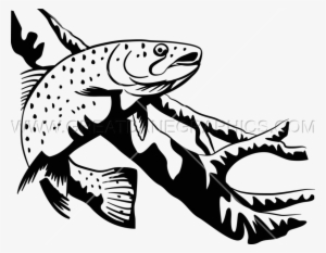 Trout Clipart Line Drawing - Rainbow Trout Black And White Clipart