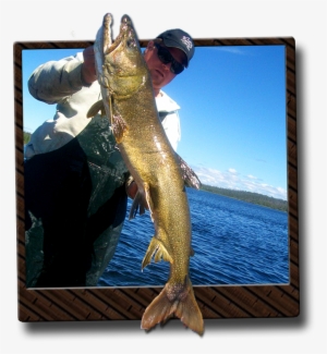 Ontario Lake Trout Fishing - Ontario