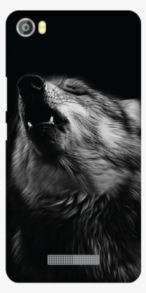 Coque Iphone 5 5s Se Magnifique Loup Noir Et Blanc