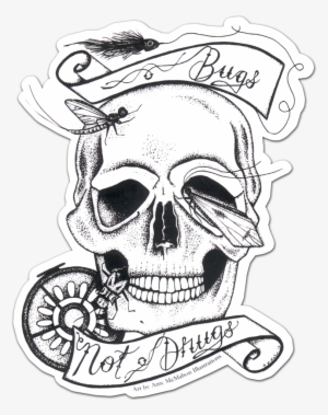 Bugs Not Drugs