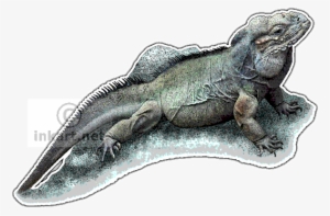 Rhinoceros Iguana - Rhinoceros Iguana Large Mug