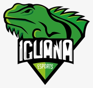 Iguana Esportslogo Square - Iguana Team