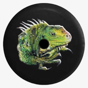 Jeep Wrangler Jl Backup Camera Iguana Green Tropical