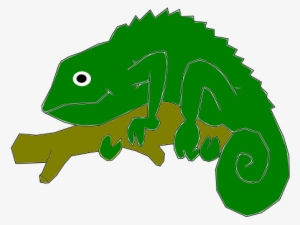 Chameleon Clipart - Basilisk Lizards Transparent Background