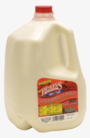 Milk Plains Dairy Milk Jug - Plains Dairy Vitamin D Milk, 1 Gal