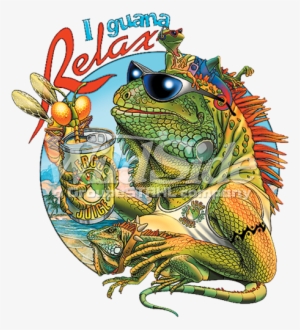 Iguana Relax