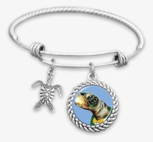Dapper Turtle Charm Bracelet - Nice School Bus Bracelet