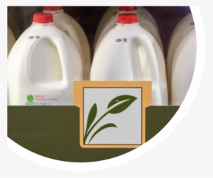 Using Less Plastic - Raw Milk