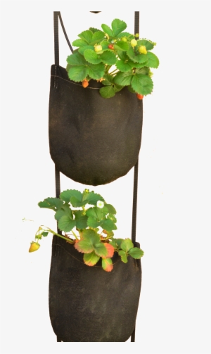 Geopot Specializes In Fabric Plant Pots - Hanging Plant Pots Png