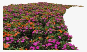 Clear Cut Img By Thestockwarehouse On Deviantart - Bed Of Flowers Png