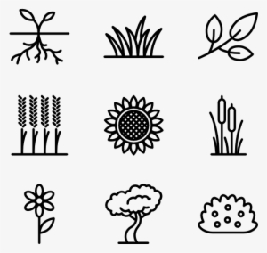 Plants And Flowers - Black And White Plants Png